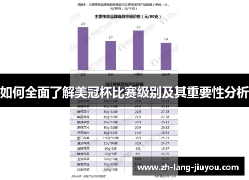 如何全面了解美冠杯比赛级别及其重要性分析
