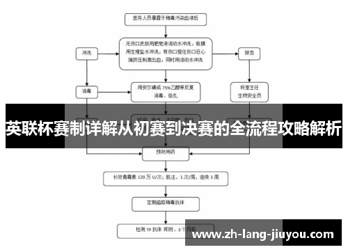 英联杯赛制详解从初赛到决赛的全流程攻略解析