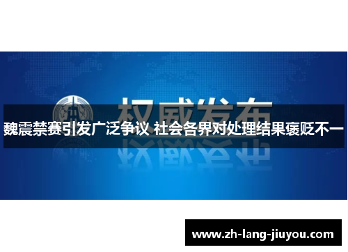 魏震禁赛引发广泛争议 社会各界对处理结果褒贬不一