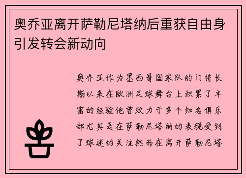 奥乔亚离开萨勒尼塔纳后重获自由身引发转会新动向